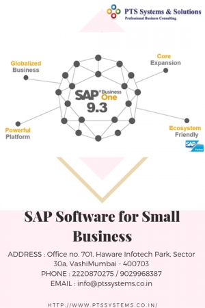 How To Get A Fabulous Sap Software For Small Business